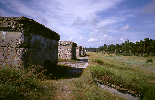 Coastal Defences